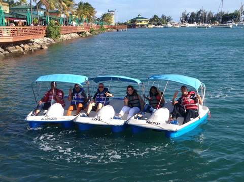 Caribe Rentals-庞塞必去景点