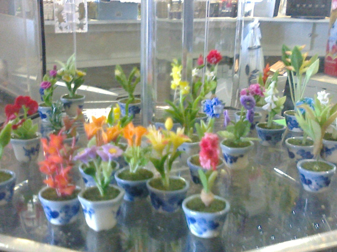 Ozzie Creations-巴拉瑞特必去景点