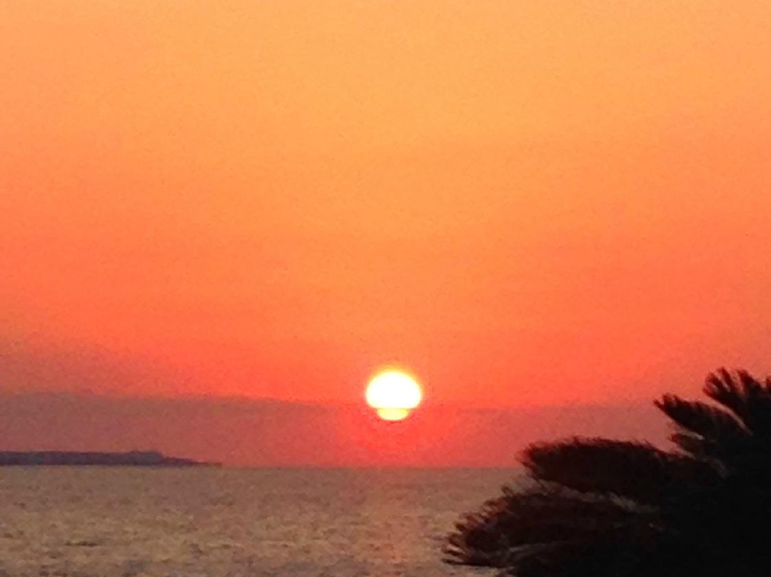 Nago Bay-名护市必去景点