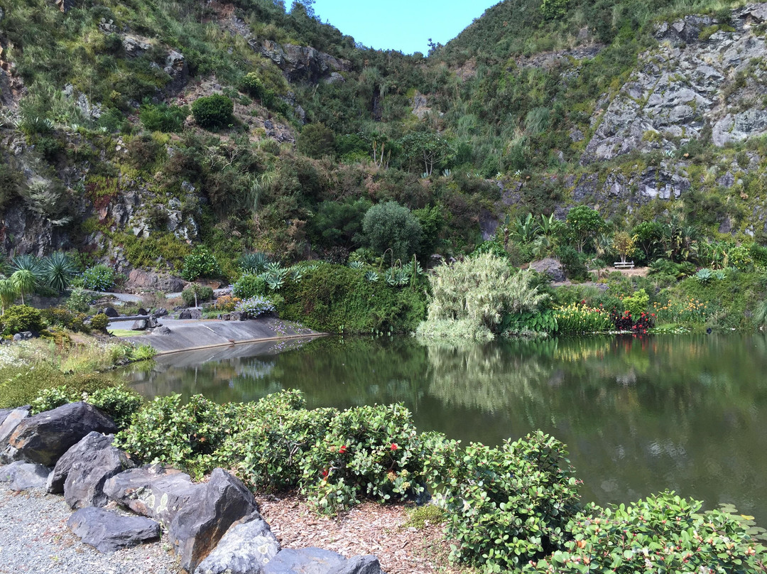 Whangārei Quarry Gardens景点图片