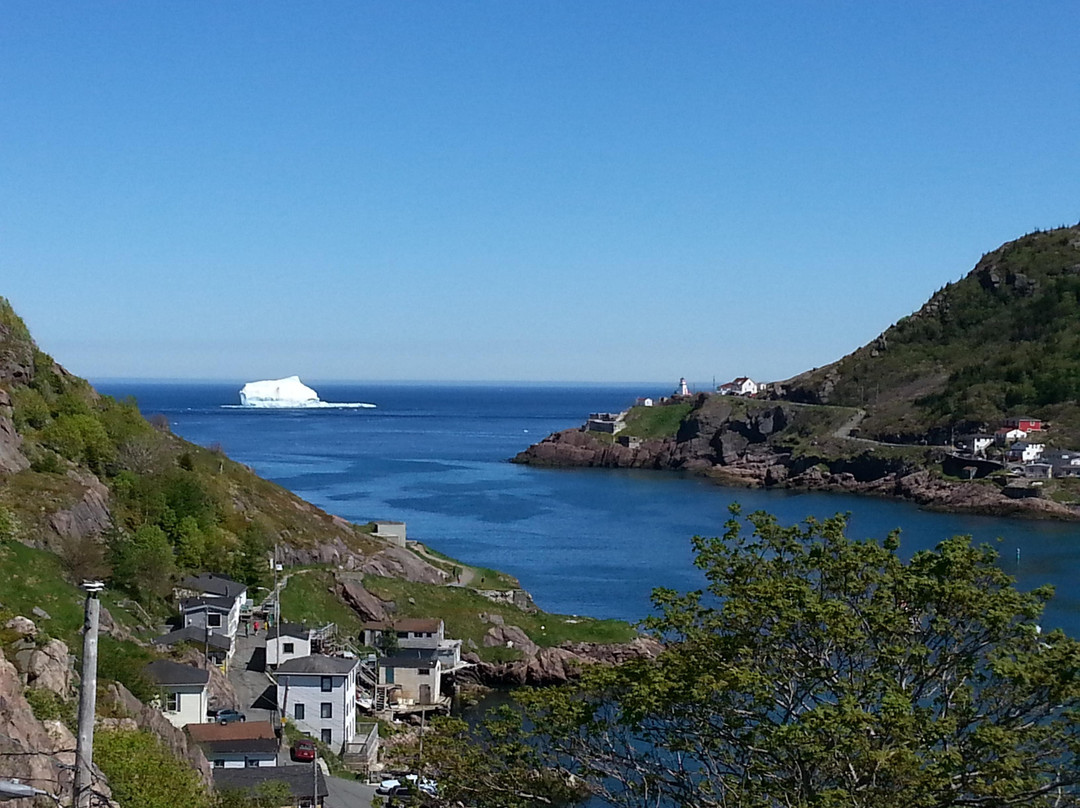 McCarthy's Party - Day Tours-圣约翰必去景点
