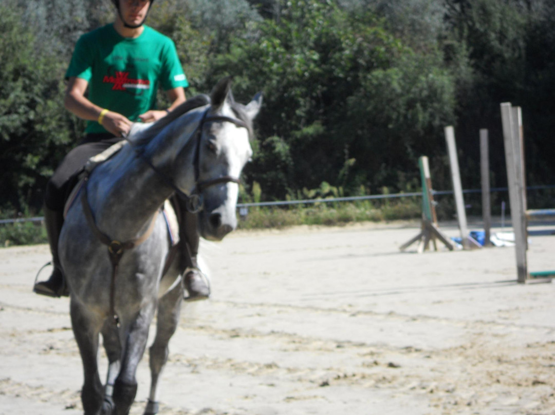 Agriturismo Il Frantoio-科尔托纳必去景点