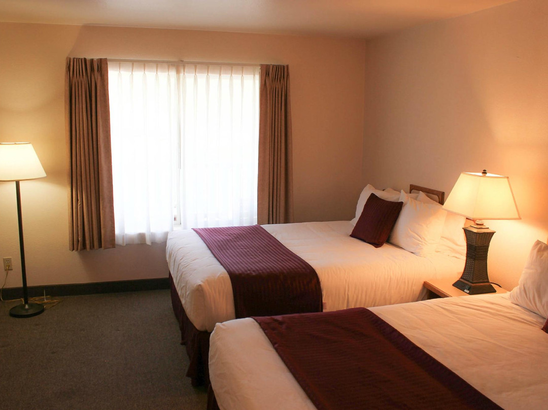 Clearwater 12 Motel主图