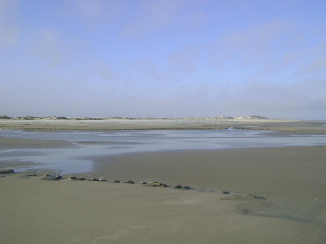 Sao Simao Beach景点图片
