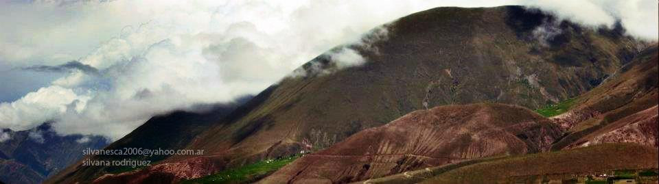 Hospedaje Palmira主图