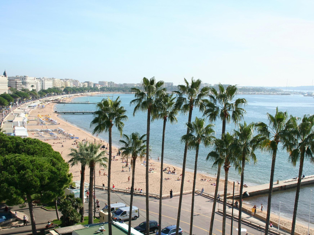 Med Tour-尼斯必去景点