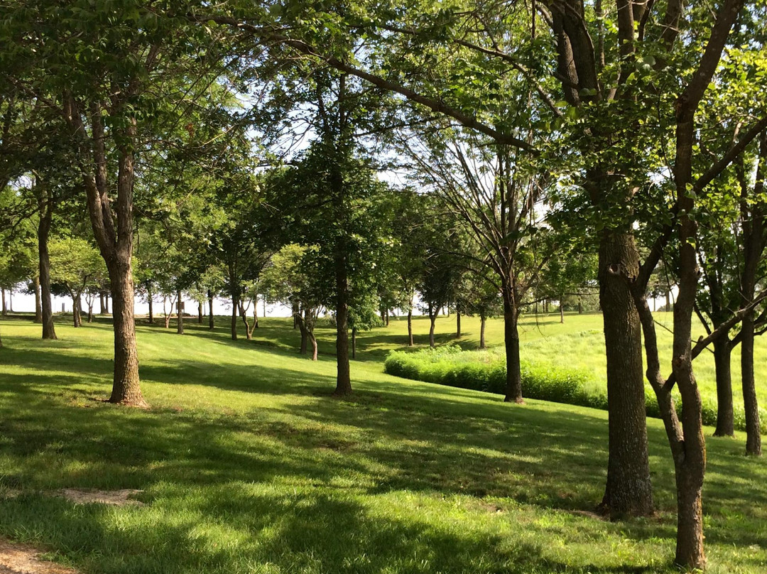 Marydale Inn Bed & Breakfast主图