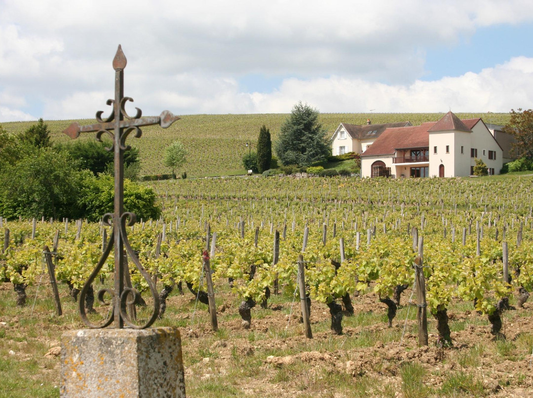 Loire Valley Wine Tour - Day Tours景点图片