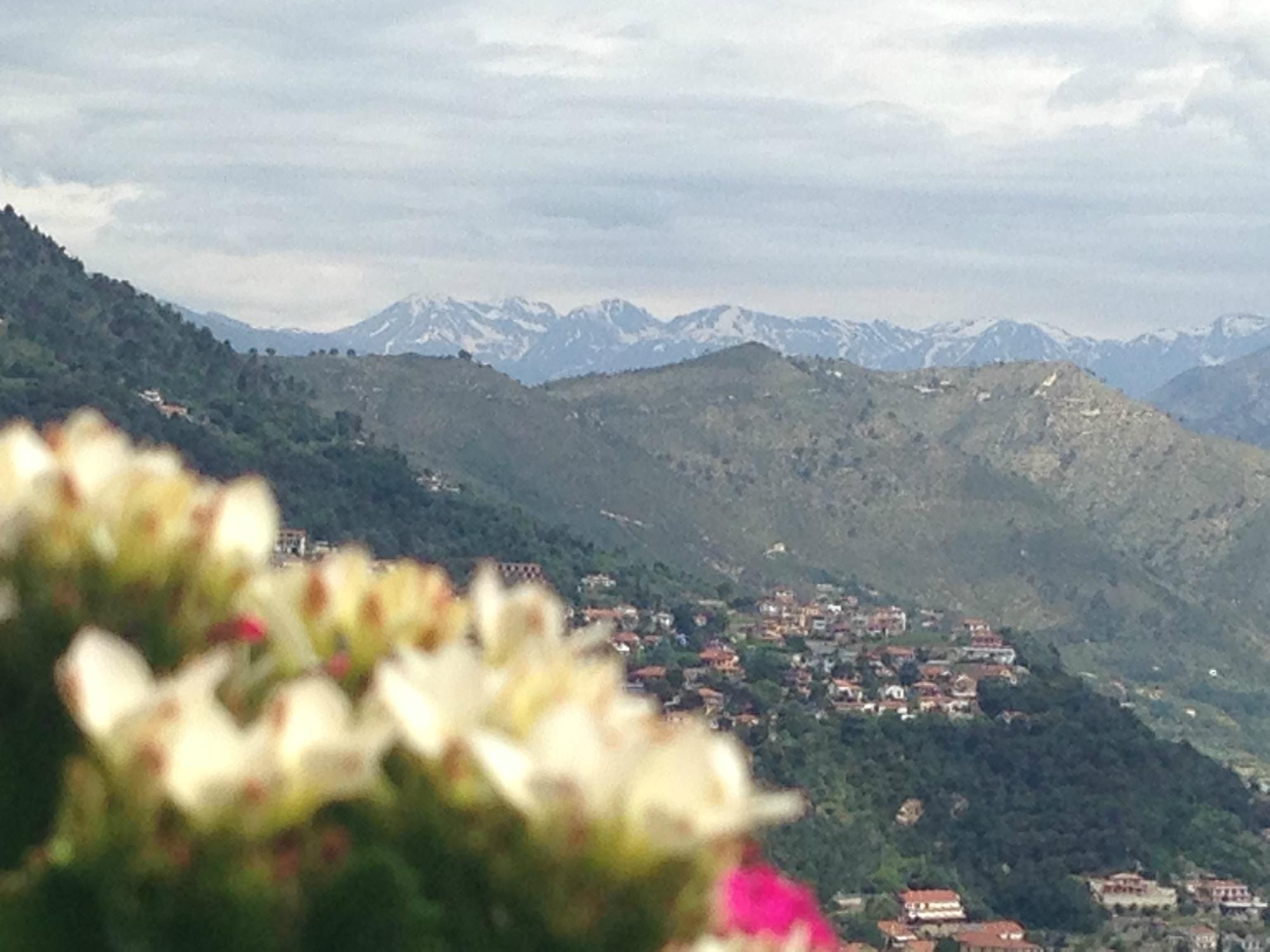 La Tana del Tasso B&B-客卧