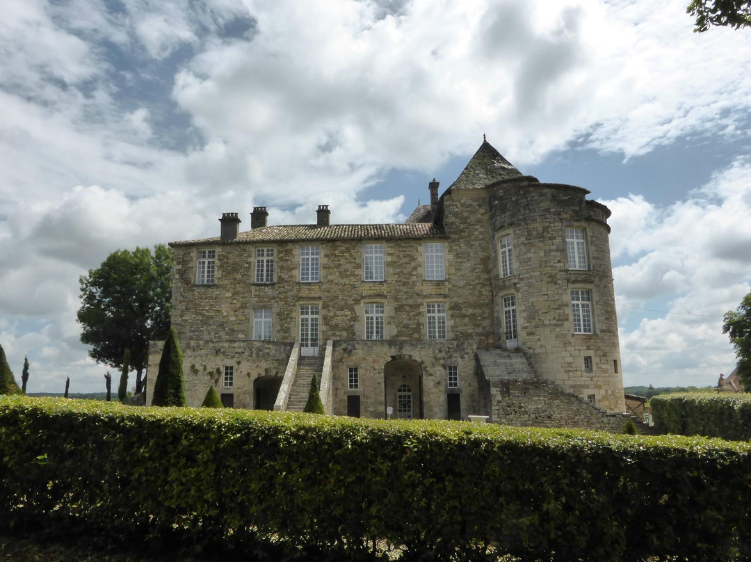 Chateau de la Reine Margot景点图片