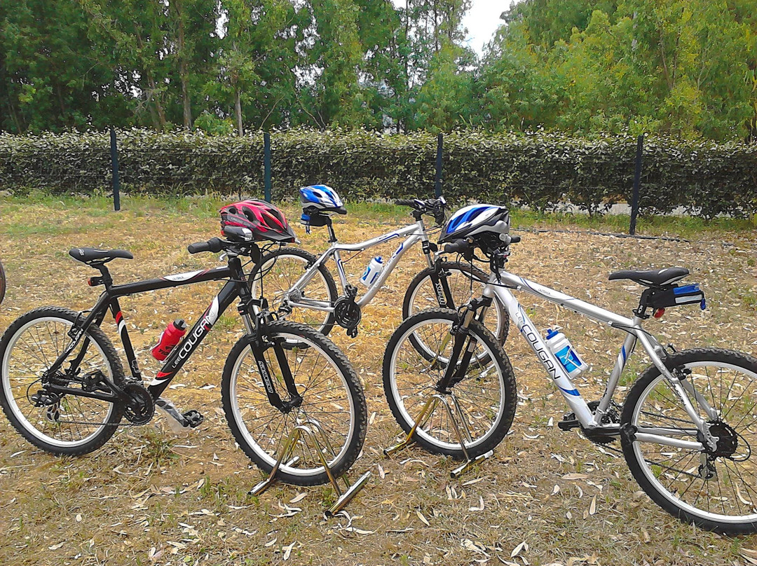 Baratz Rent a Bike-阿尔盖罗必去景点