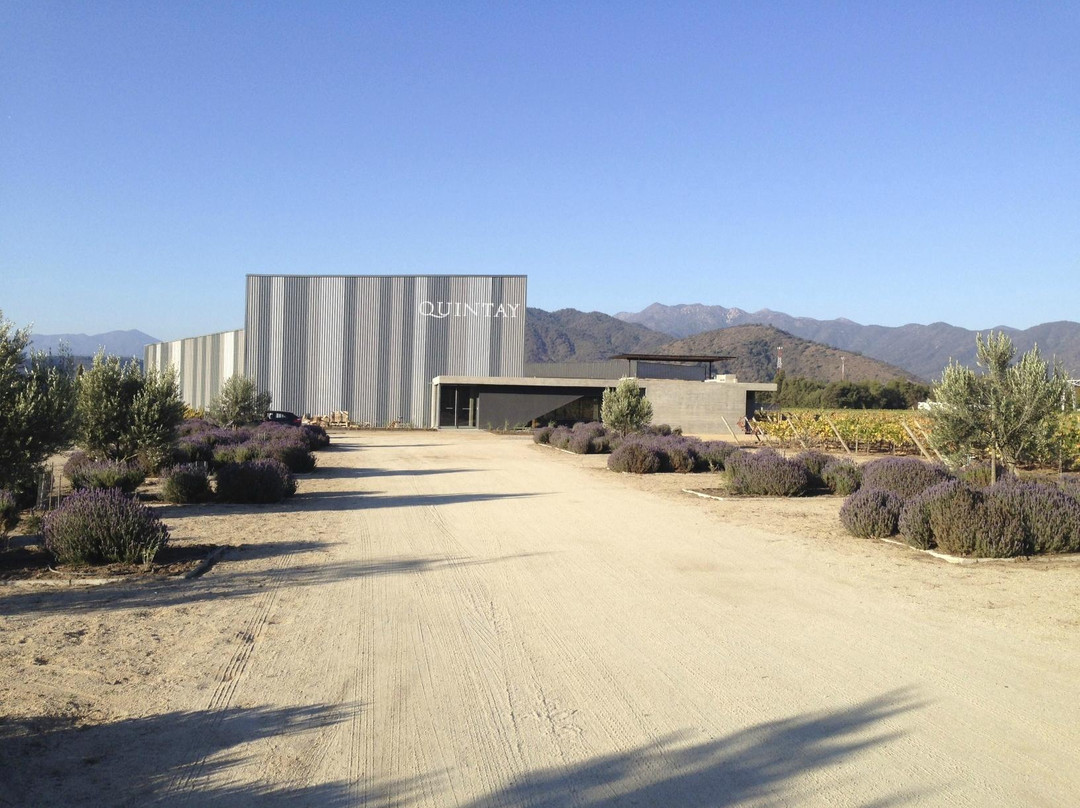 Quintay Vineyards-卡萨布兰卡必去景点