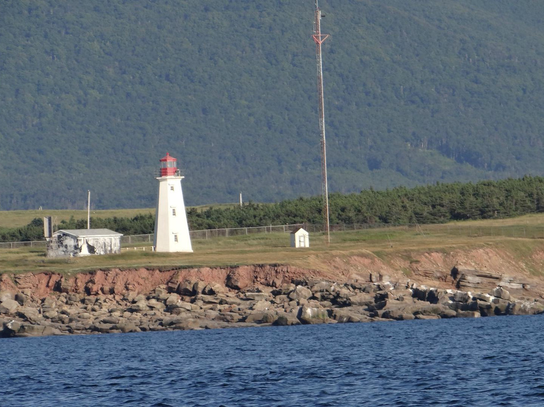 Whale Cruisers-Cheticamp必去景点