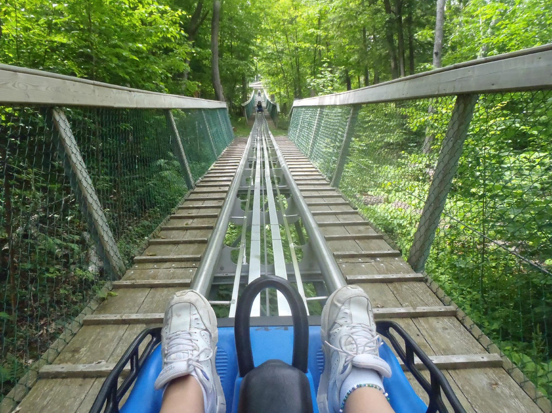 Ridge Runner Mountain Coaster-蓝山必去景点