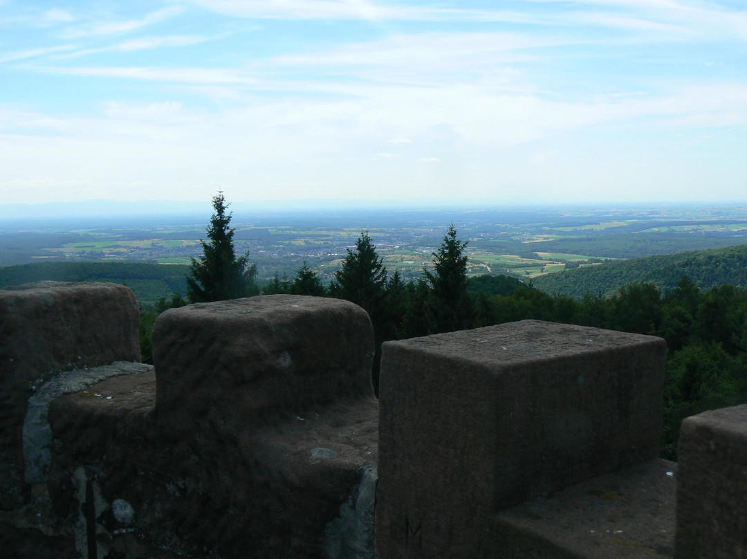 Tour Panoramique du Grand Wintersberg景点图片