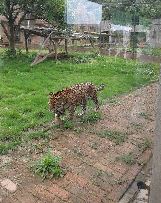韶山滴水洞-韶山市必去景点