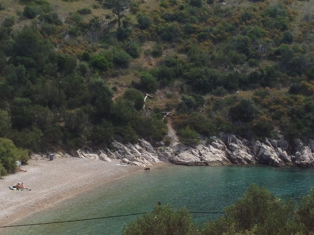 Dubovica Beach景点图片