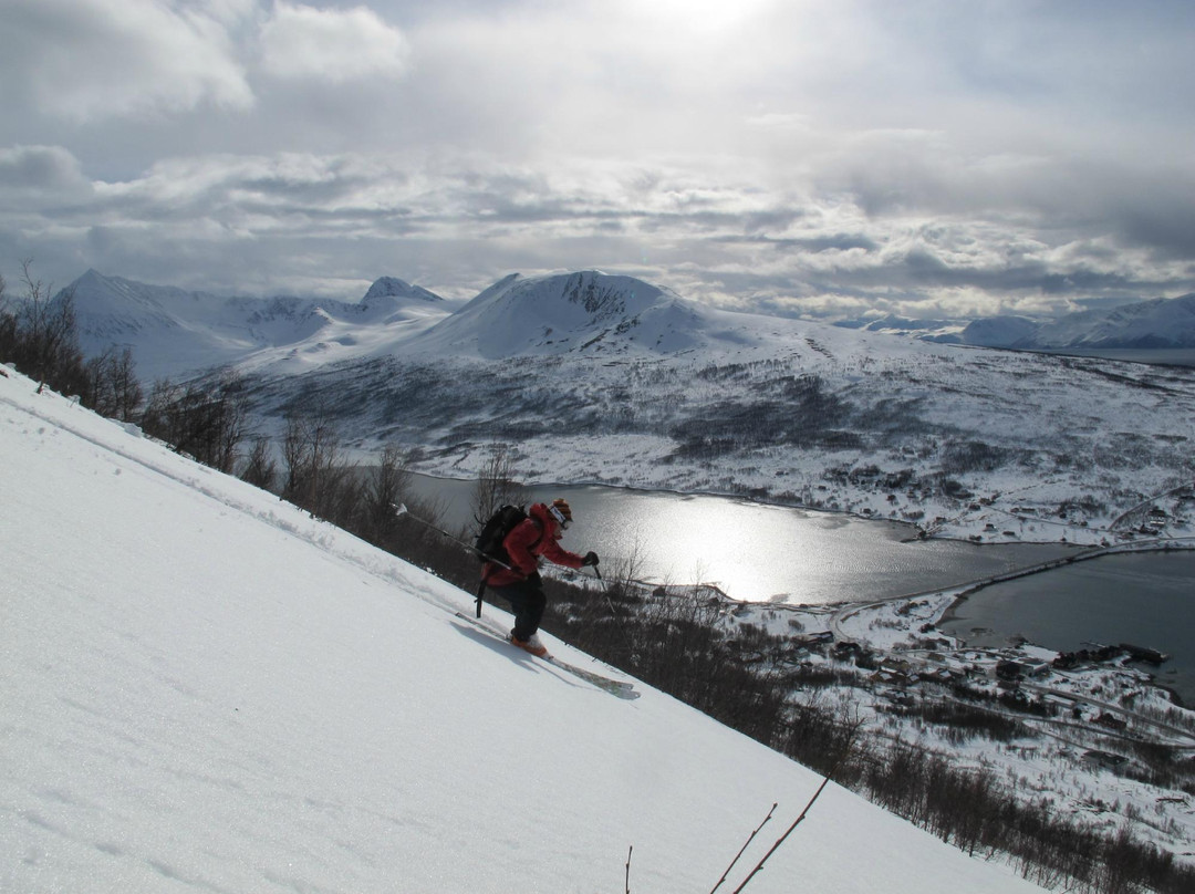 Ascent Descent The Lyngen Mountain Guides景点图片