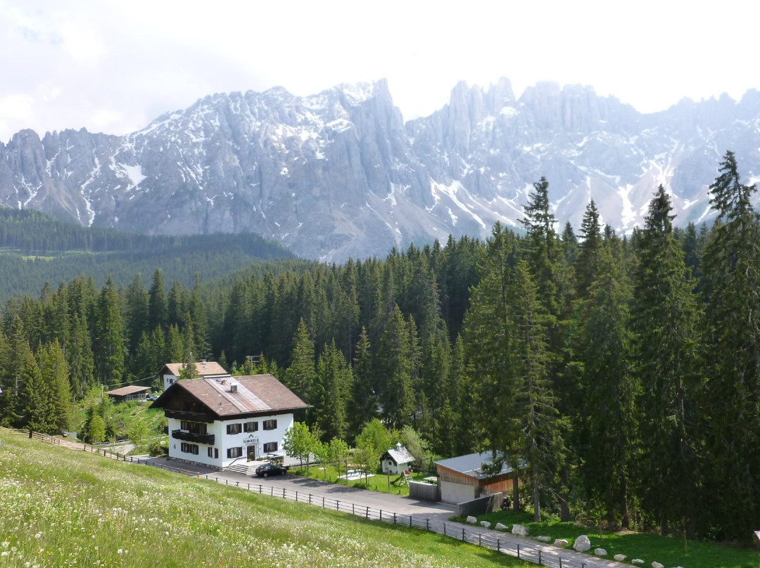 Carezza酒店住宿-Lake & River - Hotel & Restaurant