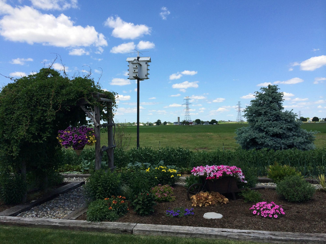 Countryside Road Stand-Ronks必去景点
