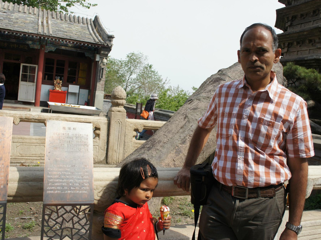 戒台寺古松-北京市必去景点