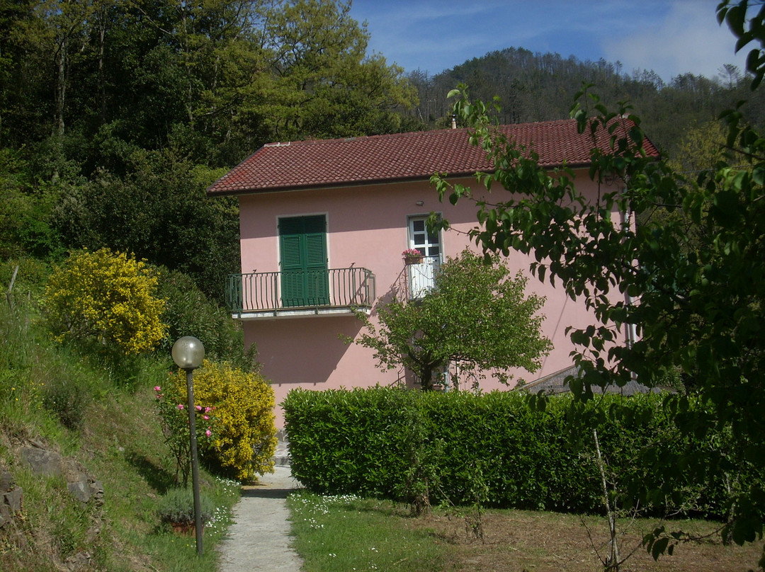 Pavì Delle 5 Terre