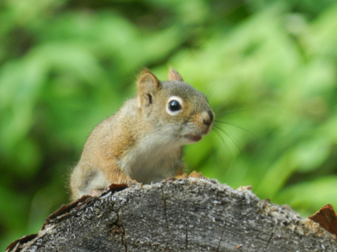 White Lake Provincial Park-White River必去景点