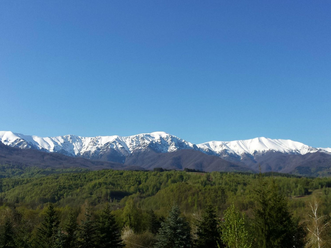 Panorama Hotel主图