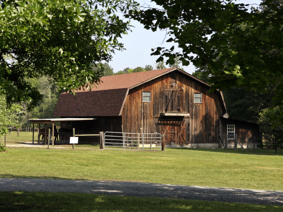 Adrian酒店住宿-Dublin Farm