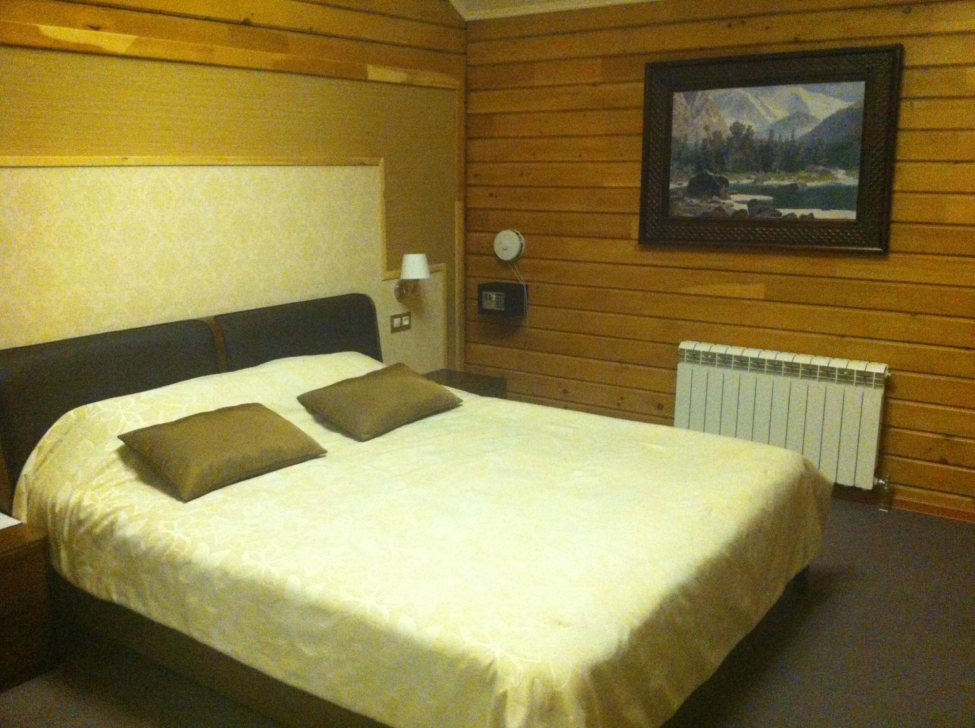 Zarechye Hotel-客卧