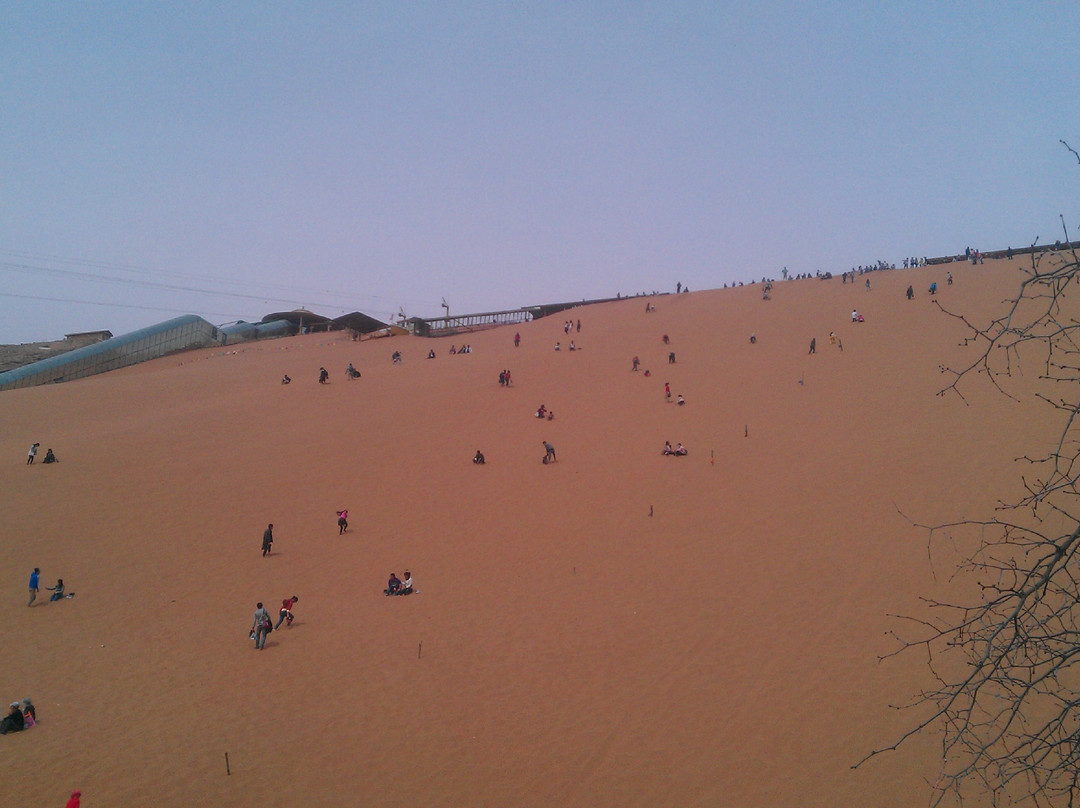 沙坡头旅游区-中卫市必去景点