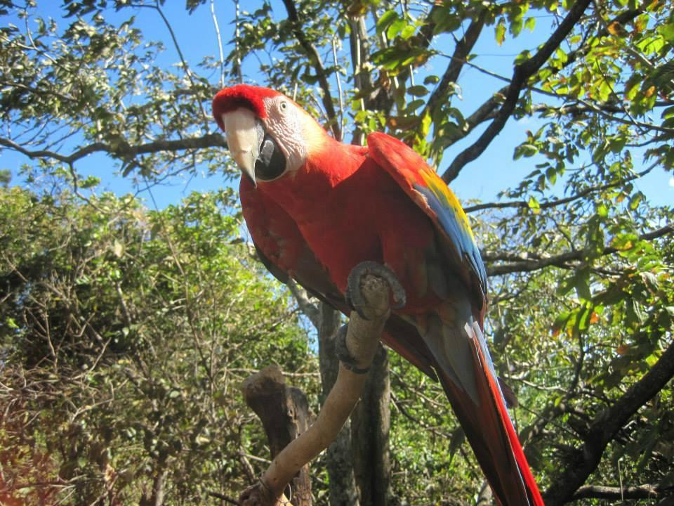 Refugio Animal De Costa Rica景点图片