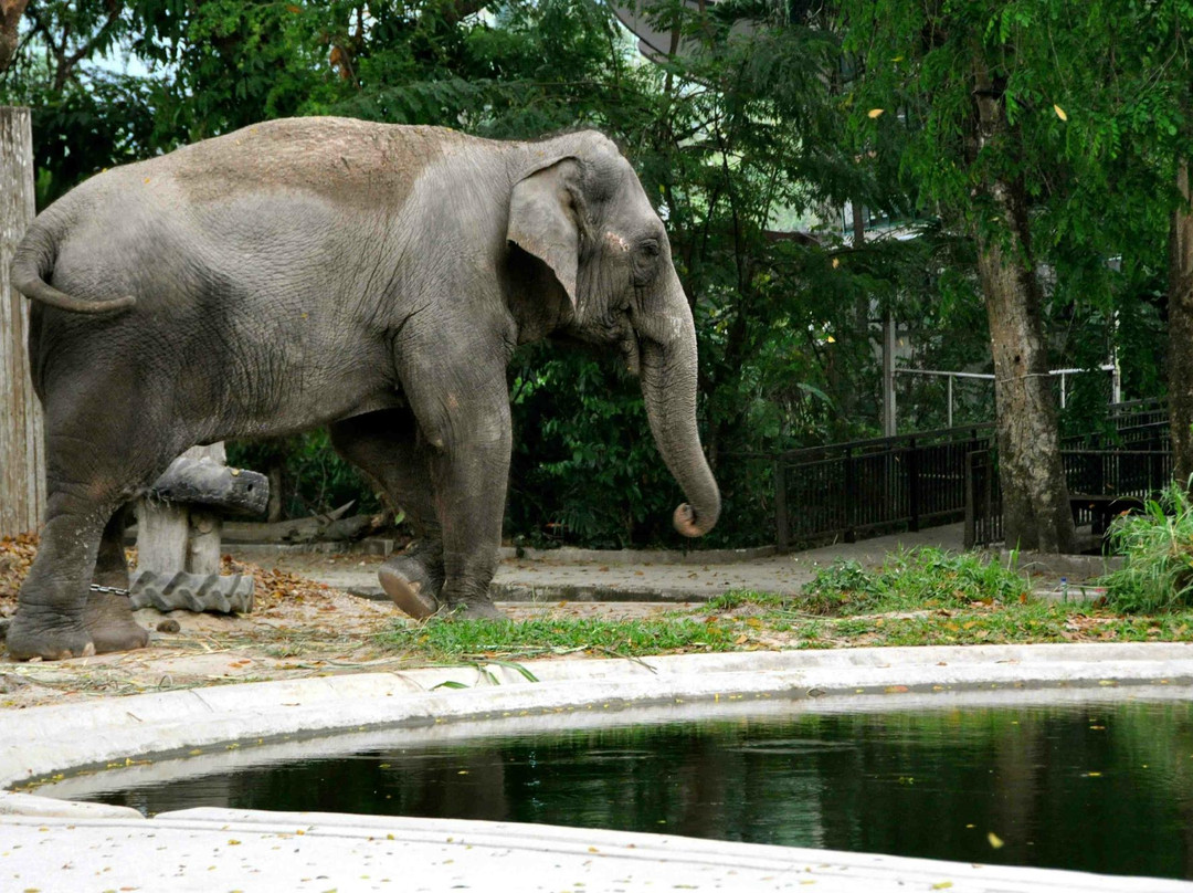 国家动物园-安邦必去景点