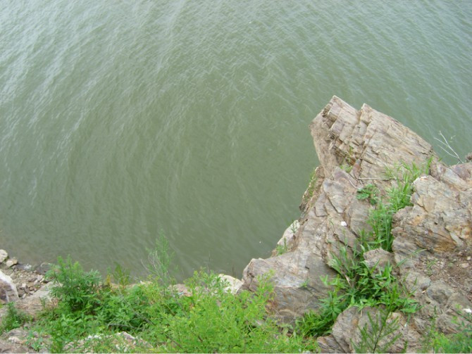 大连西郊森林公园-大连市必去景点