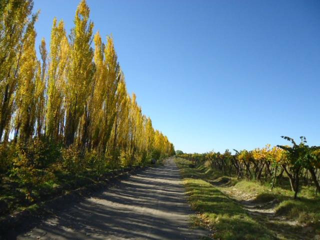 Gavilan Vineyards - Day Tours-圣拉斐尔必去景点