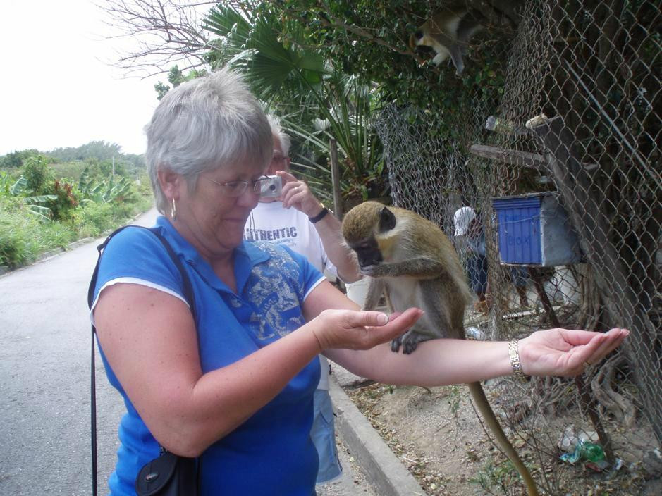 A Plus Tours and Events LTD Barbados-Holetown必去景点