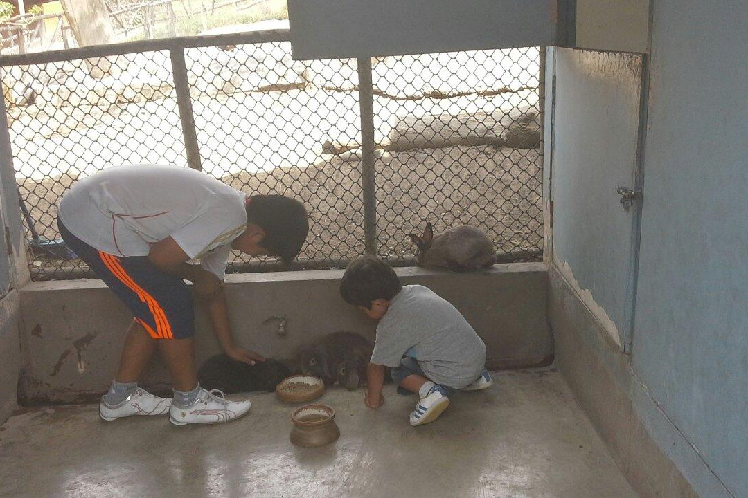 Parque Zoologico Huachipa-利马必去景点