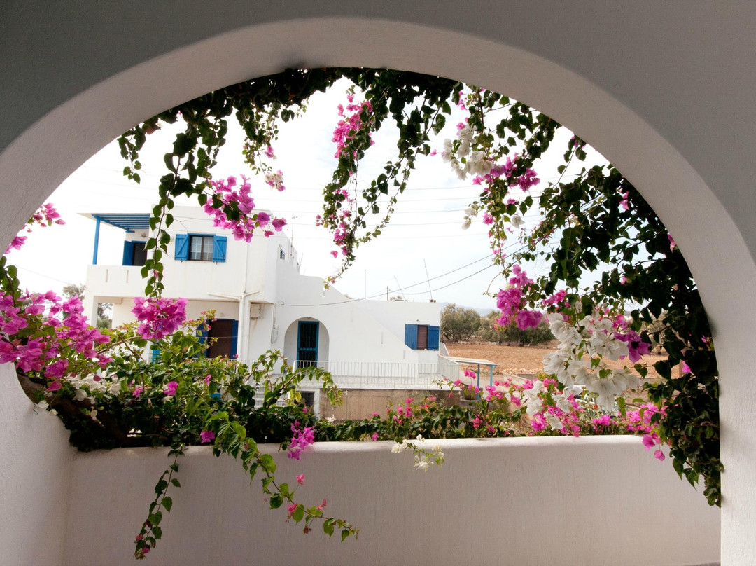 Villa Lefkes