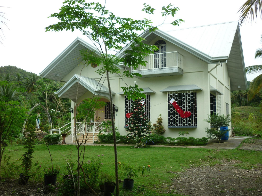 鲸鲨共游之旅-奥斯洛布必去景点