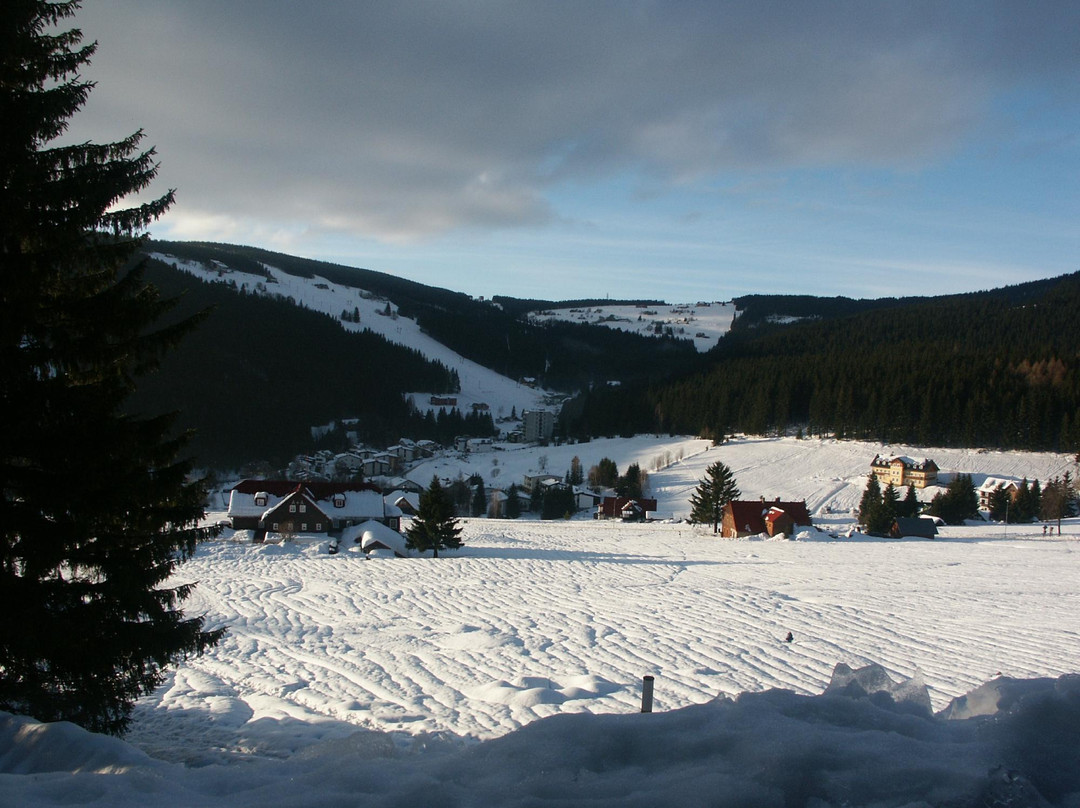 Pension Svoboda主图