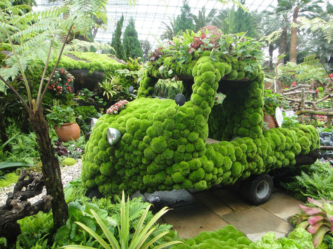 花穹-新加坡必去景点