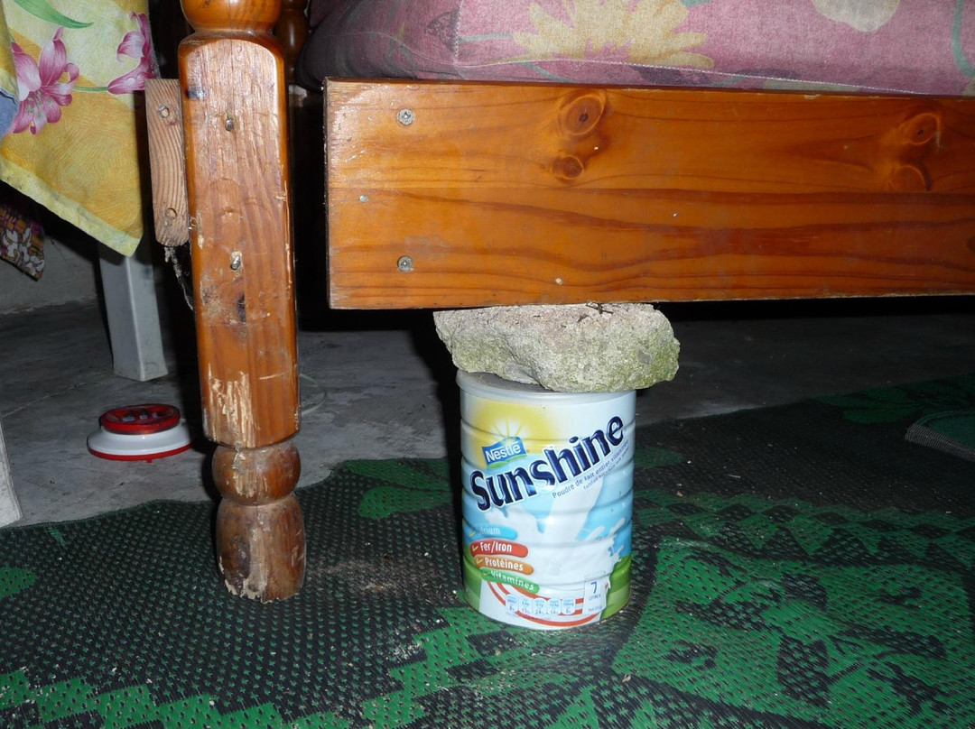 Gite Fare Falaise主图