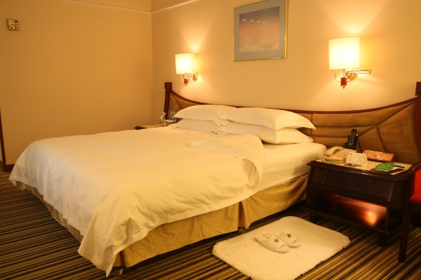 北京丽都维景酒店-客卧