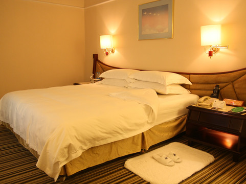 北京丽都维景酒店主图