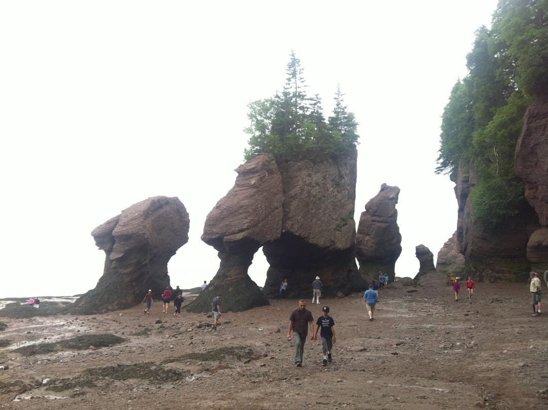 Hopewell Rocks-霍伯威尔角必去景点