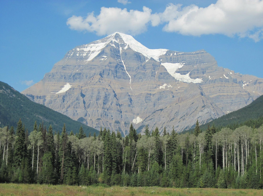 Mount Robson Heritage Cabins
