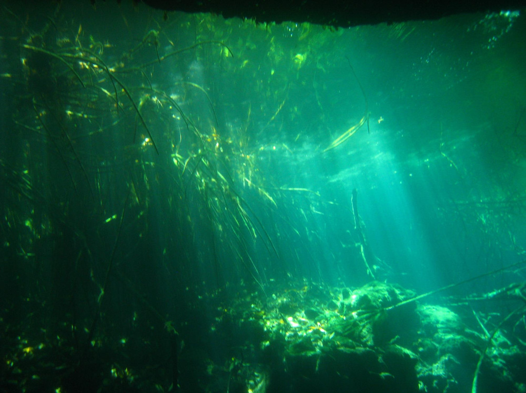Dive Cenotes Mexico-艾库玛尔必去景点