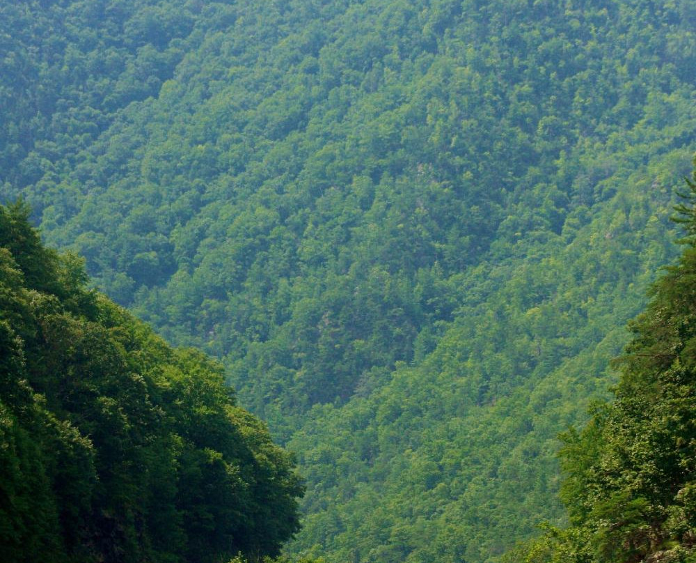 Nantahala Outdoor Center - Nolichucky River-Erwin必去景点