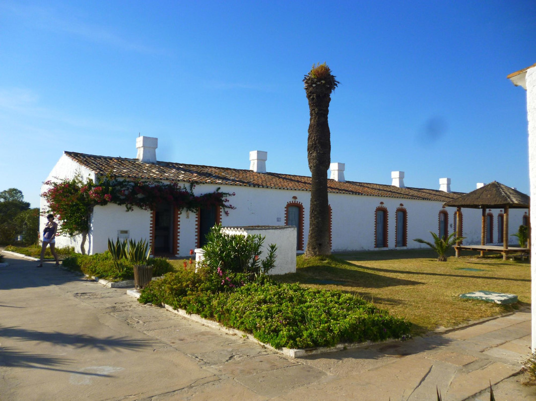 Praia do Barril景点图片