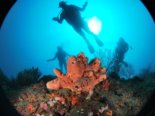 Reef Shepherd-圣玛尔塔必去景点